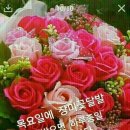 행복한 하루 이미지