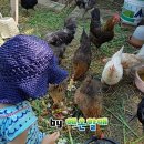 혜온농장 이미지