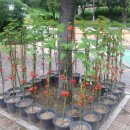 일신목장 이미지