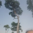 대창카센타 이미지