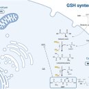나정약국 이미지