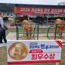 예천3로 이미지