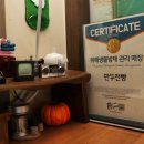 인스케어 이미지