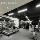 메이트피티 이미지