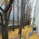 세진종합관리 이미지
