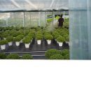 영이네농장 이미지