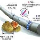 동양알미늄 이미지