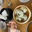 머무름 펫 이미지