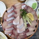 [인천]주안 가성비 좋은 횟집 “신기종합어시장회포장전문점” / 시민공원역 맛집 /신기시장 맛집