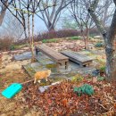 좌천동물병원