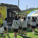 혜인농장 이미지