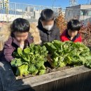 상동어린이집 이미지