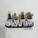 규림소아청소년과의원 이미지