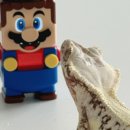 작고 소중해 이미지