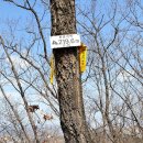 농수산물도매시장_서 이미지