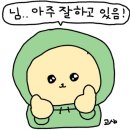 건국대 부동산학과 대학원 석사 2년 후기 | KCI등재지 논문 게재·학회 발표·연구 용역·인턴까지 총정리