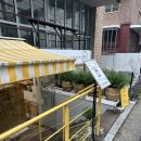 유림동물병원 | 에드엣 가로수길 근처 강아지 동반 ㅣ 신사동 브런치 카페 솔직 후기