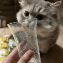 영훈유통 이미지