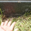 화합의분수 이미지