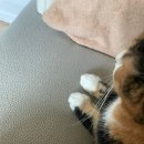 잠실팜약국 이미지