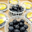 사평대로28길 31 (1) 이미지