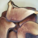 희빈한뜸한의원 이미지