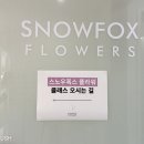 스노우폭스브랜딩컴퍼니