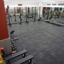 크림슨 퍼포먼스 이미지