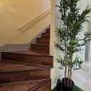 이길 스테이 이미지