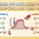 성화정비공장 | 갑자기 배만 나오고 감정이 널뛰기한다면? 에스트로겐 부족 증상 TOP 7