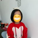 취선루 | 오산 아이랑 크레스티드게코 도마뱀 분양 체험카페 ‘지블리게코’