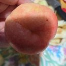 우리경봉환경 이미지