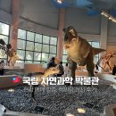 신호등카써비스 | 타이중 국립 자연과학 박물관｜현장 예매·아이둘 방문·공룡 전시 후기