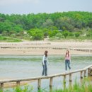 영주시 자전거공원 공공자전거대여소 이미지