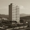서울진 행정사사무소 이미지