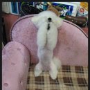 루비살롱 이미지