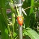 송운농장 이미지