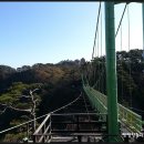 12/1 경북 봉화 청량산 (870m. 하늘다리) 산행 안내 이미지