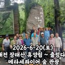 자연관광 | 장태산 자연휴양림 메타세쿼이아 숲 관광 후기