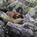 포유테크 이미지