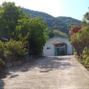 다도농장 이미지