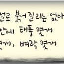 성실주유소 이미지