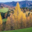 대전미용실 | 대전미용실 남달랐던 내돈내산 후기