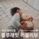 출산 백일 선물 신생아 아기 애착인형 블루래빗 아이큐베이비 러블리부