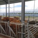 강원동물약품 이미지