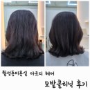 아르디 | 대구월성동미용실 아르디헤어 모발케어 후기