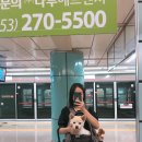 독스호텔리어 이미지