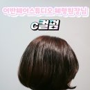 신의손스튜디오 이미지