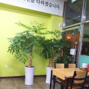양세환생면국수 이미지