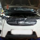 뉴그린카센타 이미지